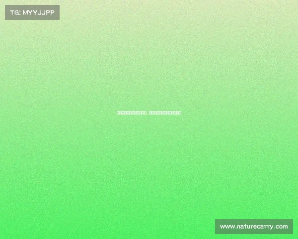 和平乔木电子竞技馆怎么进_和平乔木电子竞技馆怎么进入