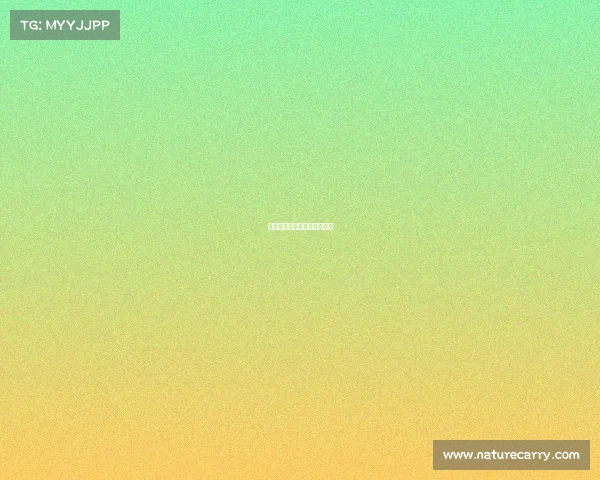 大学学电竞专业毕业什么工作