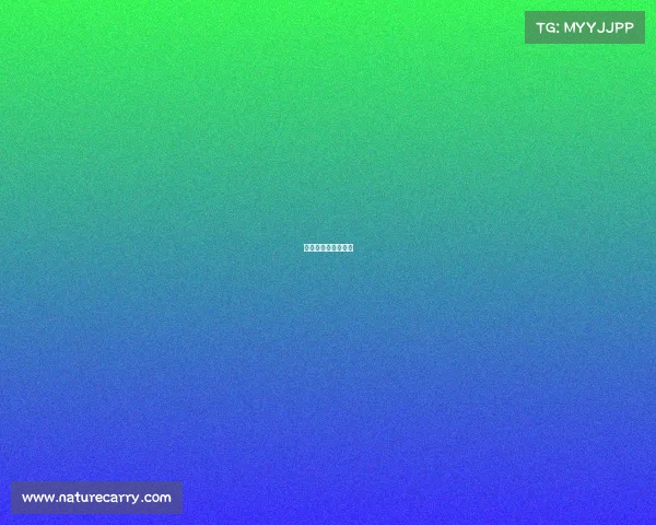 最棒的电子竞技比赛