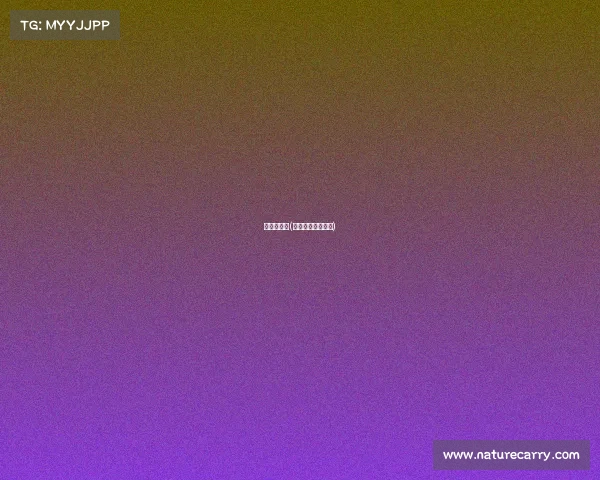 电子竞技伞(电子竞技介绍视频)