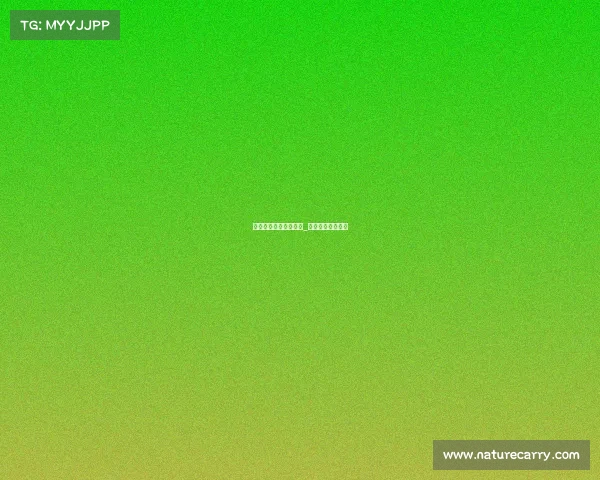 电子竞技功臣名单大全_电子竞技领军人物