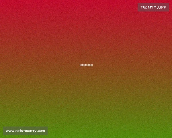 电子竞技的魅力作文