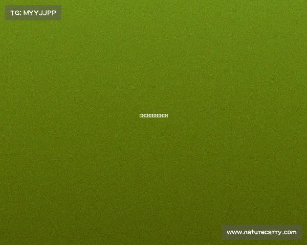 电子竞技职业化利大于弊